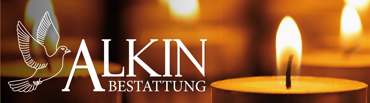 Logo Alkin