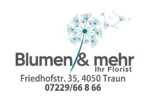Logo Blumen&Mehr